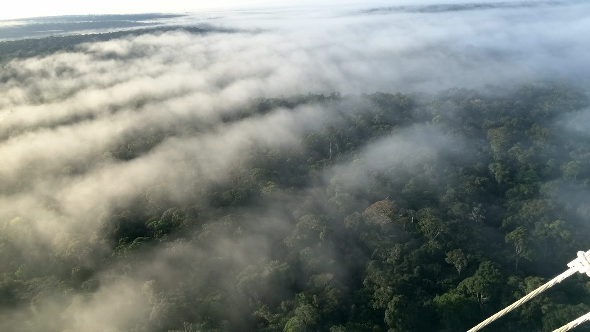Sob Esses Rios que Voam - Uma Conversa sobre os Rumos da COP 30