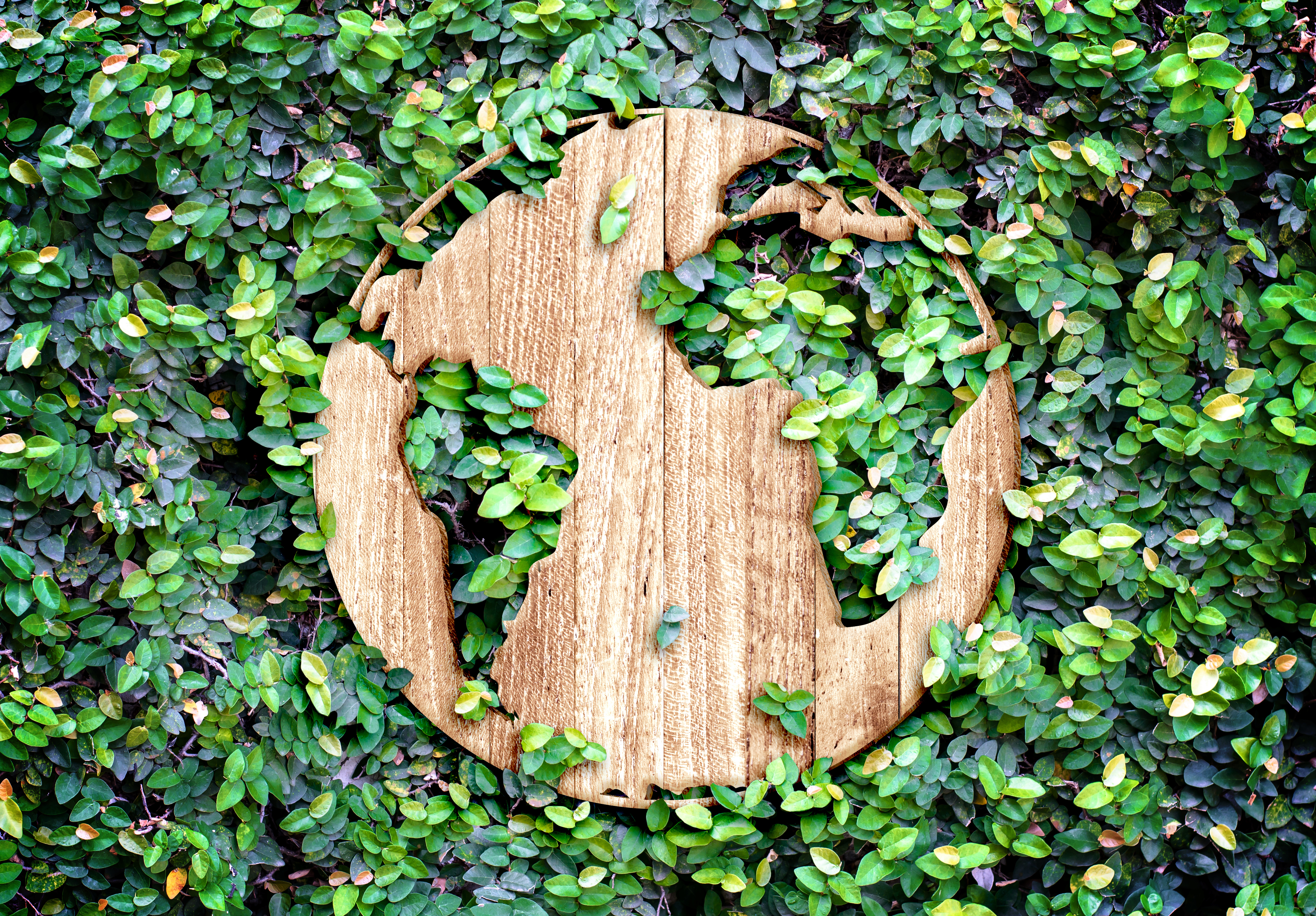 Tecnologia para Regeneração: Inteligência Artificial e Justiça Climática